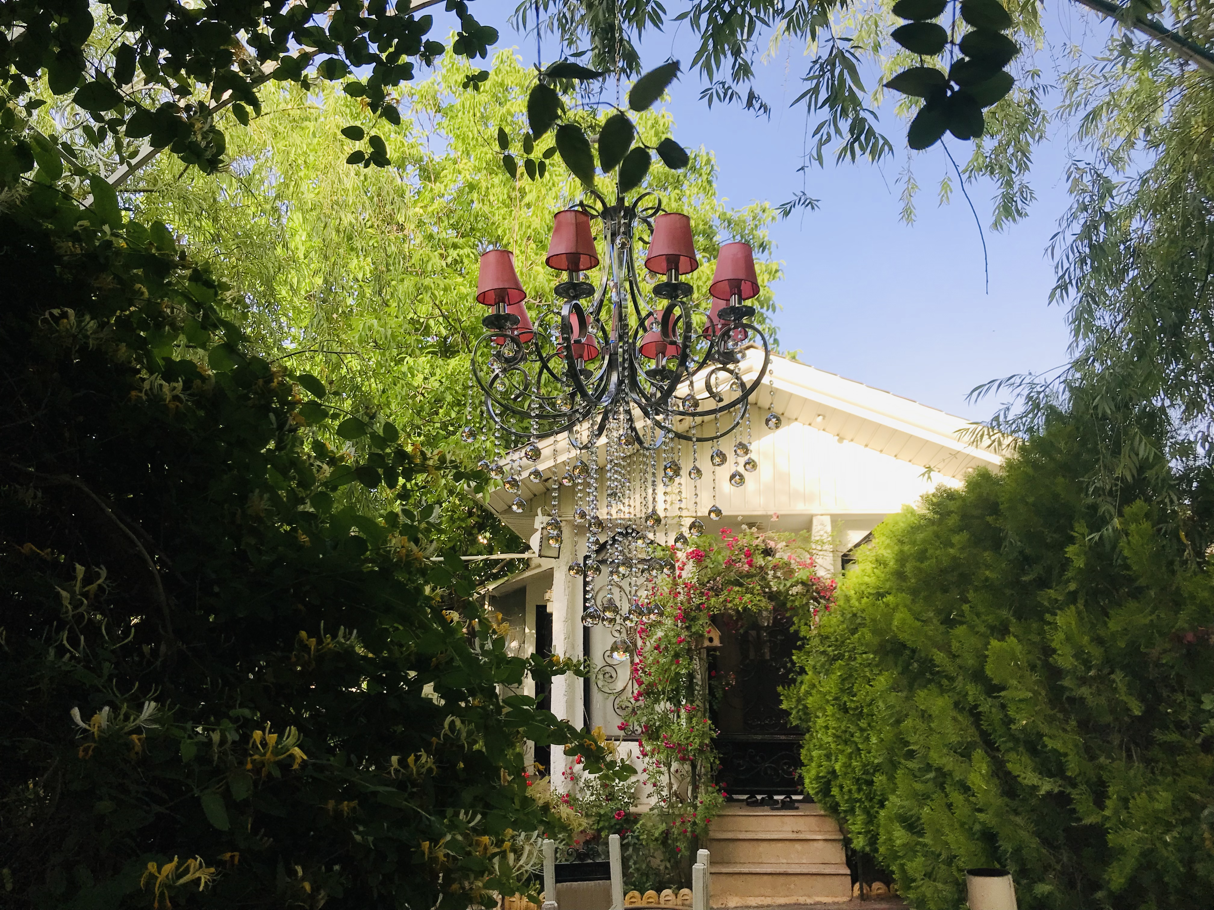 سیاوش عزیزی