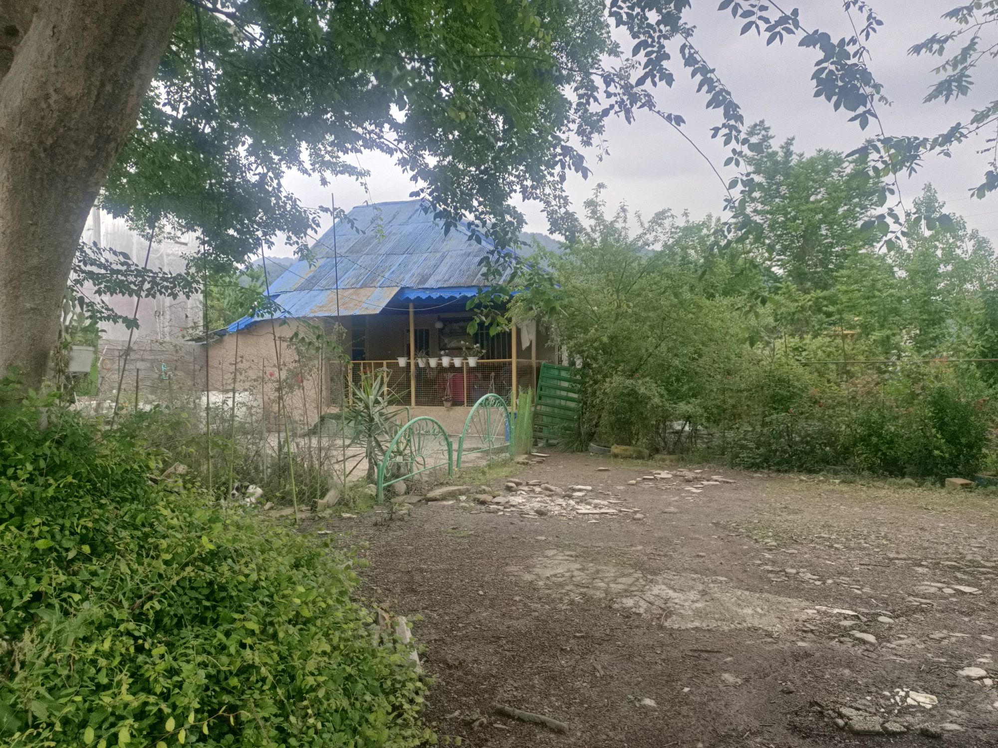کلبه محمد زاده