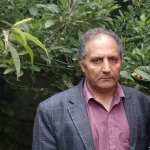 محسن روح اله زاد