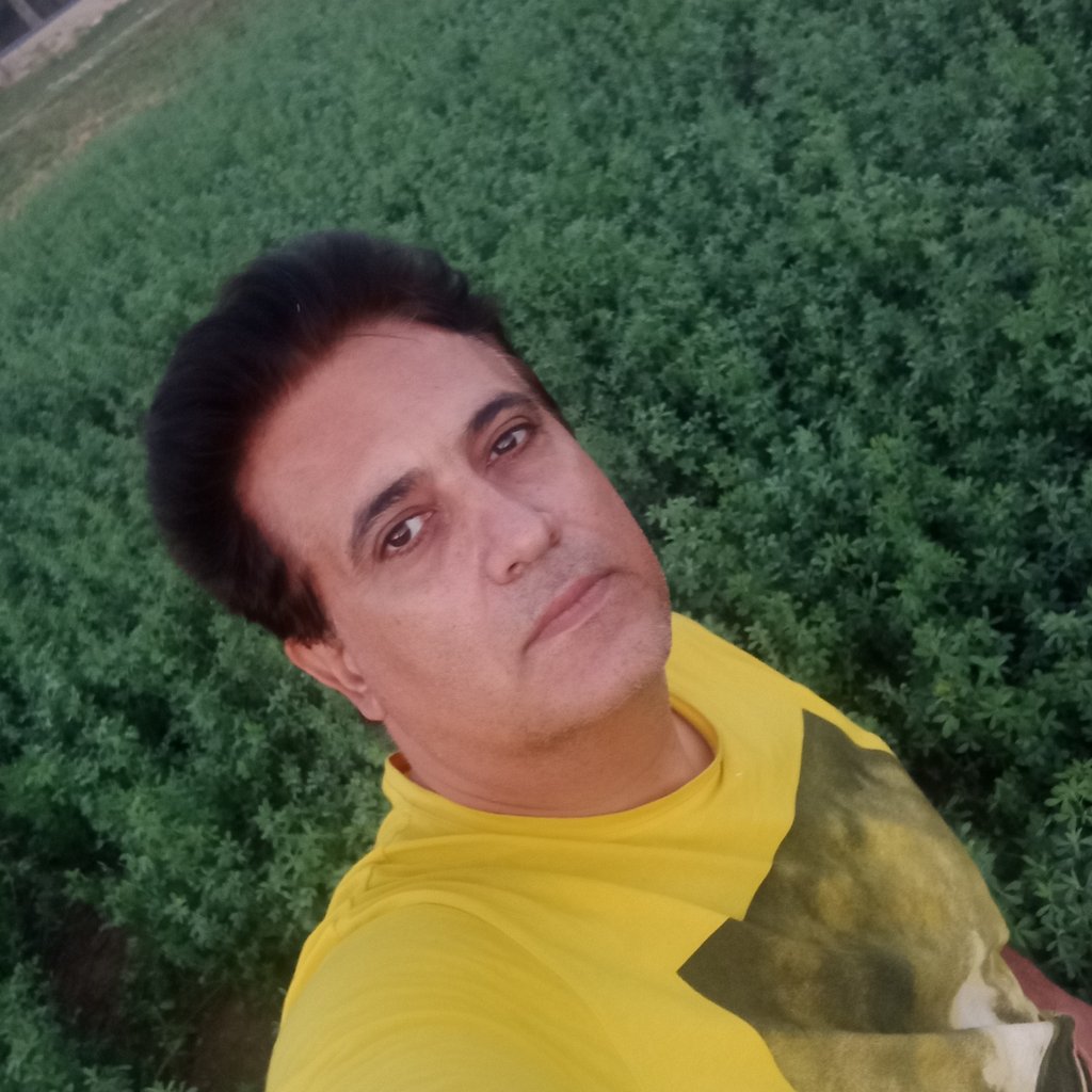جلال کرباسی